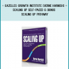 http://tenco.pro/product/gazelles-growth-institute-verne-harnish-scaling-self-paced-bonus-scaling-pathway/