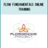 Flow Fundamentals Online Training at Tenlibrary.com