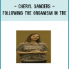 Cheryl Sander combines her training in Somatic Experiencing,