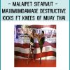 Malaipet Sitarvut - Maximum Damage Destructive Kicks ft Knees of Muay Thai at Tenlibrary.com