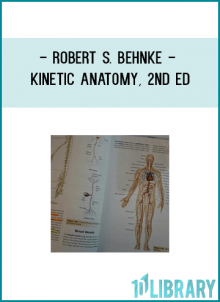 Created expressly for those who will work in physical activity fields, the thoroughly revised and updated edition of Kinetic Anatomy continues to address how anatomy affects movement—how the human body is constructed and how it moves—by discussing bones, tying the bones together to make articulations, placing muscles on the bones, and observing how the joints move when the muscles contract.