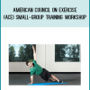 American Council on Exercise (ACE) Small-Group Training Workshop from Pete McCall & IDEAFit & MS at Midlibrary.com