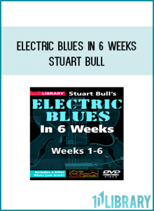 Week one includes: Pentatonic scale in the first position, Blues scale in the first position, Blues bends, String bending, Vibrato, Combining string bending and vibrato, Blues scale licks, three licks in the style of David Gilmour.