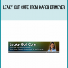 Leaky Gut Cure from Karen Brimeyer at Midlibrary.com