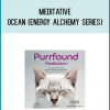 Meditative Ocean (Energy Alchemy Series) from iAwake Technologies at Midlibrary.com