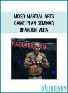 If you’re a Martial Artist: How would you like to Double, Triple, or even Quadruple the results you’re getting from your Mixed Martial Arts Training?