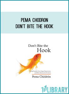 Pema Chodron - Don't Bite The Hook at Midlibrary.com
