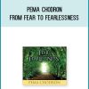Pema Chodron - From Fear to Fearlessness at Midlibrary.com