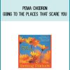 Pema Chodron - Going To The Places That Scare You at Midlibrary.com