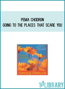Pema Chodron - Going To The Places That Scare You at Midlibrary.com