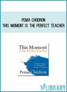 Pema Chodron - This moment is the perfect teacher at Midlibrary.com