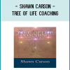Tree of Life coaching can be combined with your current coaching methods, or used as a system of coaching in its own right.