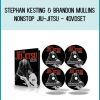 Stephan Kesting & Brandon Mullins - NonStop Jiu-Jitsu - 4DVDSet at Midlibrary.com