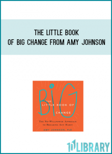The Little Book of Big Change from Amy Johnson at Midlibrary.com