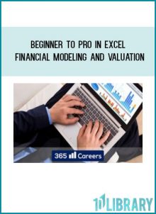 Beginner to Pro in Excel Financial Modeling and Valuation at Tenlibrary.com