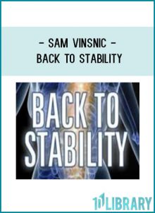 Sam Vinsnic - Back To Stability at Tenlibrary.com