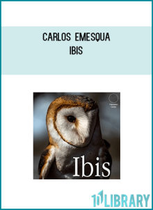 Carlos Emesqua - Ibis