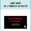 Jamie Smart - The 3 Principles in Practice AT Midlibrary.net