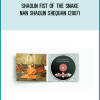 Shaolin Fist of the Snake – Nan Shaolin shequan (2007)