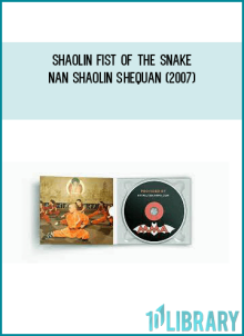 Shaolin Fist of the Snake – Nan Shaolin shequan (2007)