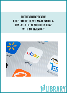 TheTeenEntrepreneur - Ebay Profits - How I make $400+ a day as a 16-year old on eBay with no inventory