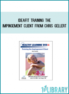 IDEAFit Training the Impingement Client from Chris Gellert at Midlibrary.com