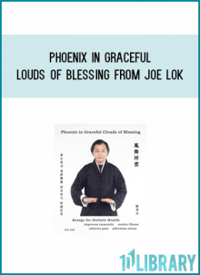 Phoenix In Graceful Clouds of Blessing from Joe Lokat Midlibrary.com