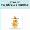 Stealing Fire from Jamie Wheal & Steven Kotler at Midlibrary.com