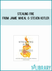 Stealing Fire from Jamie Wheal & Steven Kotler at Midlibrary.com