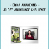 The 30-Day Abundance Challenge