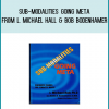 Sub-Modalities Going Meta from L. Michael Hall & Bob Bodenhamer at Midlibrary.com