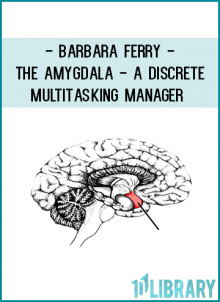 he amygdala and connected brain structures in these mechanisms.
