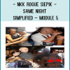 Nkk Rogue SiEpik- Same Night Simplified – Module 5