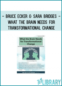 Bruce Ecker & Sara Bridges - What the Brain Needs for Transformational Change