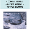 The Swish Pattern is a rapid, effective intervention for modifying habits and feelings. Includes two demonstrations by Steve and Connirae Andreas.