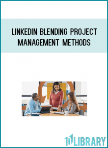 Plus, learn how to conduct program and portfolio reporting when you are running blended, interdependent projects.