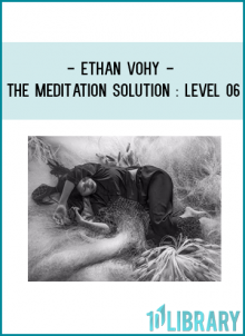 Ethan VoHy - The Meditation Solution : Level 06