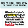 Forex Pip Fishing – A Forex System For Catching Pips All Day Long