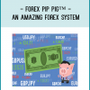Forex Pip Pig™ - An Amazing Forex System