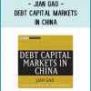 Dr. Jian Gao is the Vice Governor of China Development Bank (CDB). Before moving to CDB