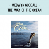 Medwyn Goodall - The Way of the Ocean