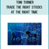 Toni Turner - Trade the Right Stocks at the Right Time