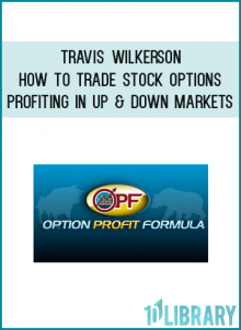 Travis Wilkerson - How to Trade Stock Options - Profiting in Up & Down Markets