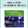 Bruce H. Lipton – THE WISDOM OF YOUR CELLS