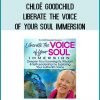 Discover how to use the voice of your soul for healing, self-awareness, deepening your relationships, and expanding your ability to spread goodwill, peace, and love.
