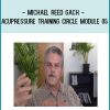 Michael Reed Gach - Acupressure Training Circle Module 05