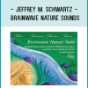 Jeffrey M. Schwartz - BRAINWAVE NATURE SOUNDS