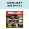 Saekson Janjira: Mechanics of Muay Thai Vol.1 of 3 this is a requested dvd series more to come enjoy!!