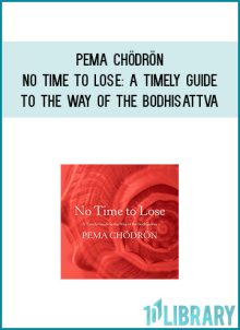 Pema Chödrön - No Time to LoseA Timely Guide to the Way of the Bodhisattva at Midlibrary.com